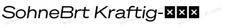 SohneBrt Kraftig字体转换